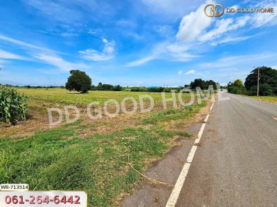 ที่ดินพัฒนานิคม 23 ไร่ 255.3 ตร.ว. ลพบุรี ใกล้วัดราษฎร์มงคล