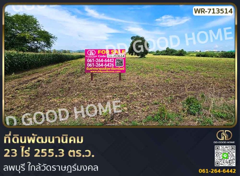 ที่ดินพัฒนานิคม 23 ไร่ 255.3 ตร.ว. ลพบุรี ใกล้วัดราษฎร์มงคล-1