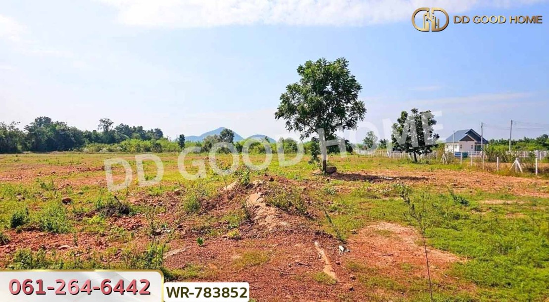 ที่ดินเมืองราชบุรี 9 ไร่ 125 ตร.ว. ใกล้เขางู-8