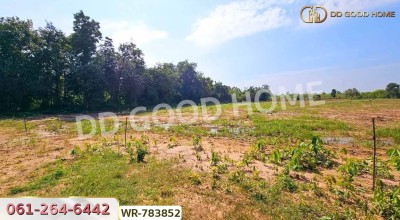 ที่ดินเมืองราชบุรี 9 ไร่ 125 ตร.ว. ใกล้เขางู-6