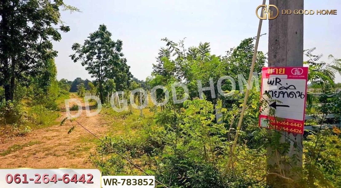 ที่ดินเมืองราชบุรี 9 ไร่ 125 ตร.ว. ใกล้เขางู-4