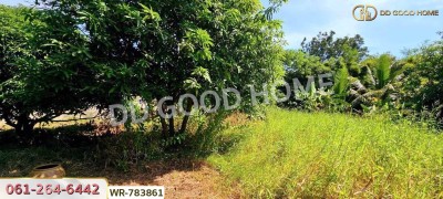 ที่ดินท่ามะกา 1 ไร่ 28 ตร.ว. กาญจนบุรี ใกล้เทศบาลเมืองท่าเรือพระแท่น-10