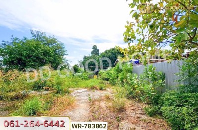 ที่ดินปลวกแดง 4 ไร่ 391.5 ตร.ว. ระยอง ในนิคมอมตะซิตี้ระยอง-9