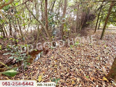 ที่ดินสวนผลไม้ 6 ไร่ 39 ตร.ว. ต.มะขาม จันทบุรี ใกล้สวนทุเรียนแลนด์-9