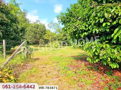 ที่ดินสวนผลไม้ 6 ไร่ 39 ตร.ว. ต.มะขาม จันทบุรี ใกล้สวนทุเรียนแลนด์-7