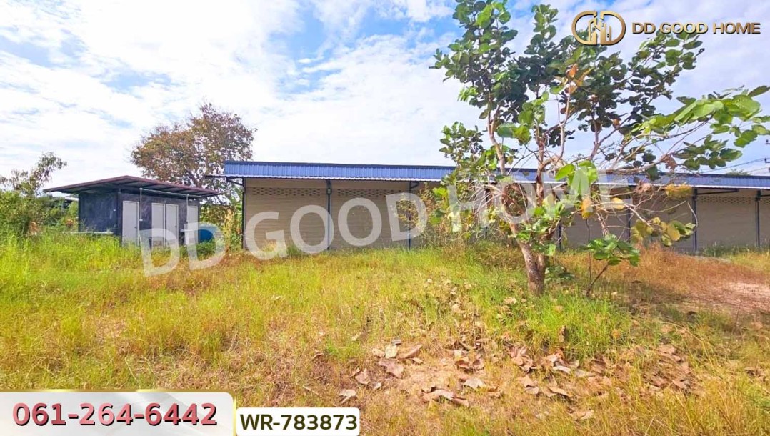 ที่ดินบ้านพริก 1 ไร่ 202.2 ตร.ว. นครนายก ใกล้ อบต. บ้านพริก-10