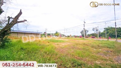 ที่ดินบ้านพริก 1 ไร่ 202.2 ตร.ว. นครนายก ใกล้ อบต. บ้านพริก-9