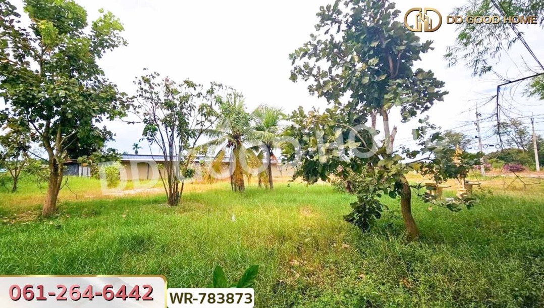 ที่ดินบ้านพริก 1 ไร่ 202.2 ตร.ว. นครนายก ใกล้ อบต. บ้านพริก-8