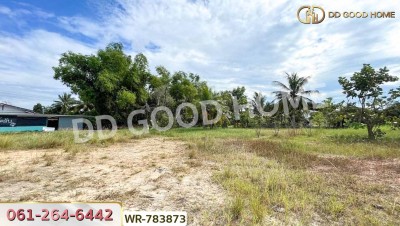 ที่ดินบ้านพริก 1 ไร่ 202.2 ตร.ว. นครนายก ใกล้ อบต. บ้านพริก-7