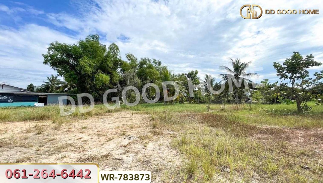 ที่ดินบ้านพริก 1 ไร่ 202.2 ตร.ว. นครนายก ใกล้ อบต. บ้านพริก-7