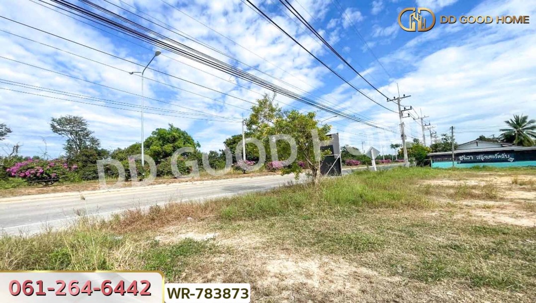 ที่ดินบ้านพริก 1 ไร่ 202.2 ตร.ว. นครนายก ใกล้ อบต. บ้านพริก-5