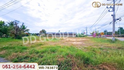 ที่ดินบ้านพริก 1 ไร่ 202.2 ตร.ว. นครนายก ใกล้ อบต. บ้านพริก-4