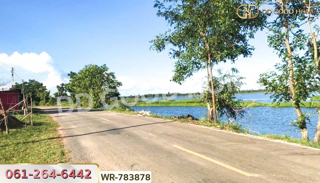 ที่ดินพระยืน 2 ไร่ 242 ตร.ว. ขอนแก่น ใกล้สำนักงานเทศบาลบ้านโต้น-6