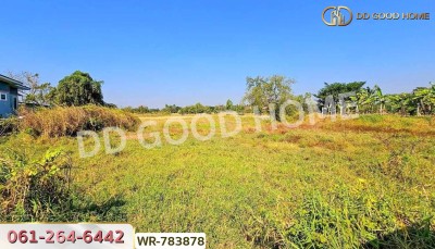 ที่ดินพระยืน 2 ไร่ 242 ตร.ว. ขอนแก่น ใกล้สำนักงานเทศบาลบ้านโต้น-4
