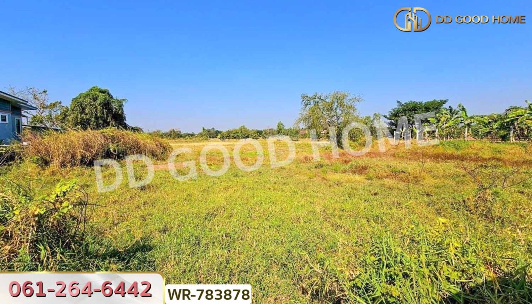 ที่ดินพระยืน 2 ไร่ 242 ตร.ว. ขอนแก่น ใกล้สำนักงานเทศบาลบ้านโต้น-4
