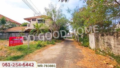 ที่ดินธัญบุรี ในหมู่บ้านเปรมปรีดิ์ 80 ตร.ว. ปทุมธานี ใกล้ ฟิวเจอร์พาร์ครังสิต-6