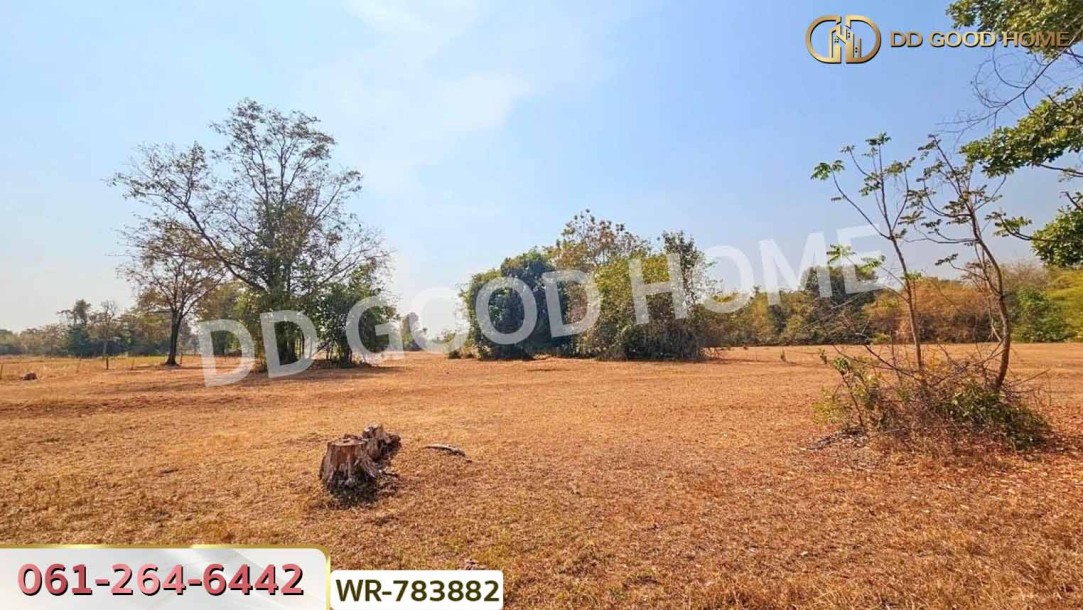 ที่ดินอรัญประเทศ 10 ไร่ 369.7 ตร.ว. สระแก้ว ใกล้ตลาดโรงเกลือ-7