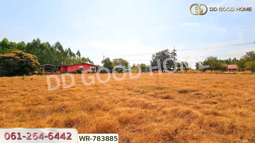 ที่ดินพนัสนิคม 6 ไร่ 209.6 ตร.ว. ชลบุรี ใกล้ อบต.นาวังหิน-10