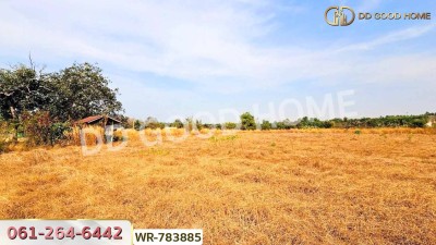 ที่ดินพนัสนิคม 6 ไร่ 209.6 ตร.ว. ชลบุรี ใกล้ อบต.นาวังหิน-9