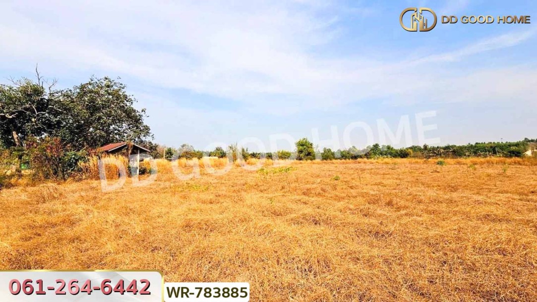 ที่ดินพนัสนิคม 6 ไร่ 209.6 ตร.ว. ชลบุรี ใกล้ อบต.นาวังหิน-9