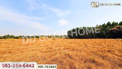 ที่ดินพนัสนิคม 6 ไร่ 209.6 ตร.ว. ชลบุรี ใกล้ อบต.นาวังหิน-8