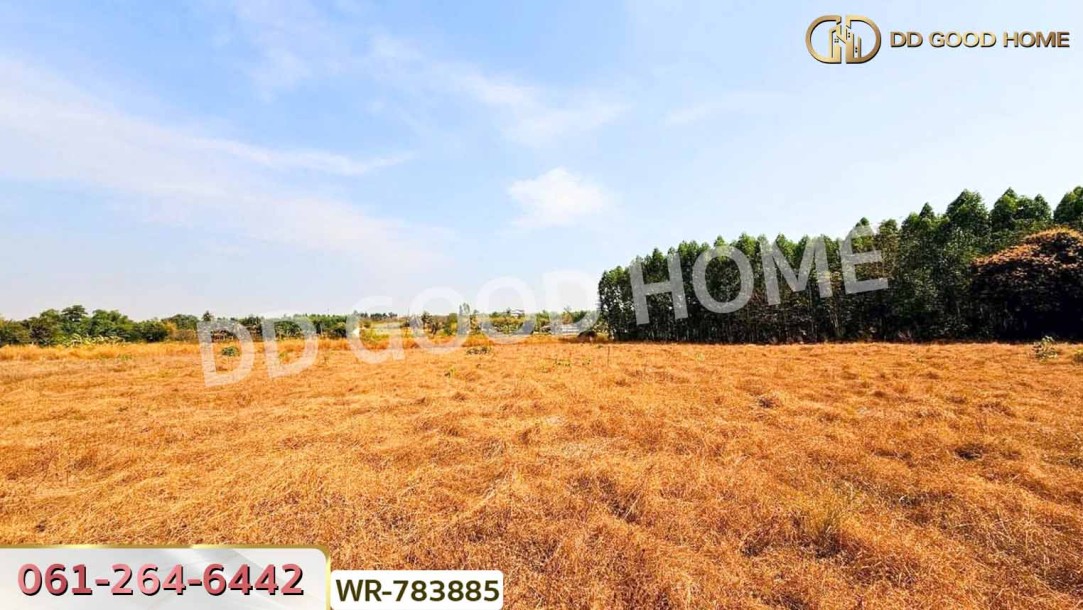 ที่ดินพนัสนิคม 6 ไร่ 209.6 ตร.ว. ชลบุรี ใกล้ อบต.นาวังหิน-8