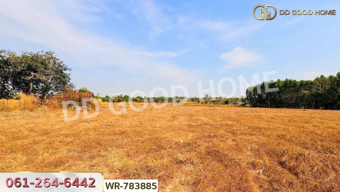ที่ดินพนัสนิคม 6 ไร่ 209.6 ตร.ว. ชลบุรี ใกล้ อบต.นาวังหิน-7