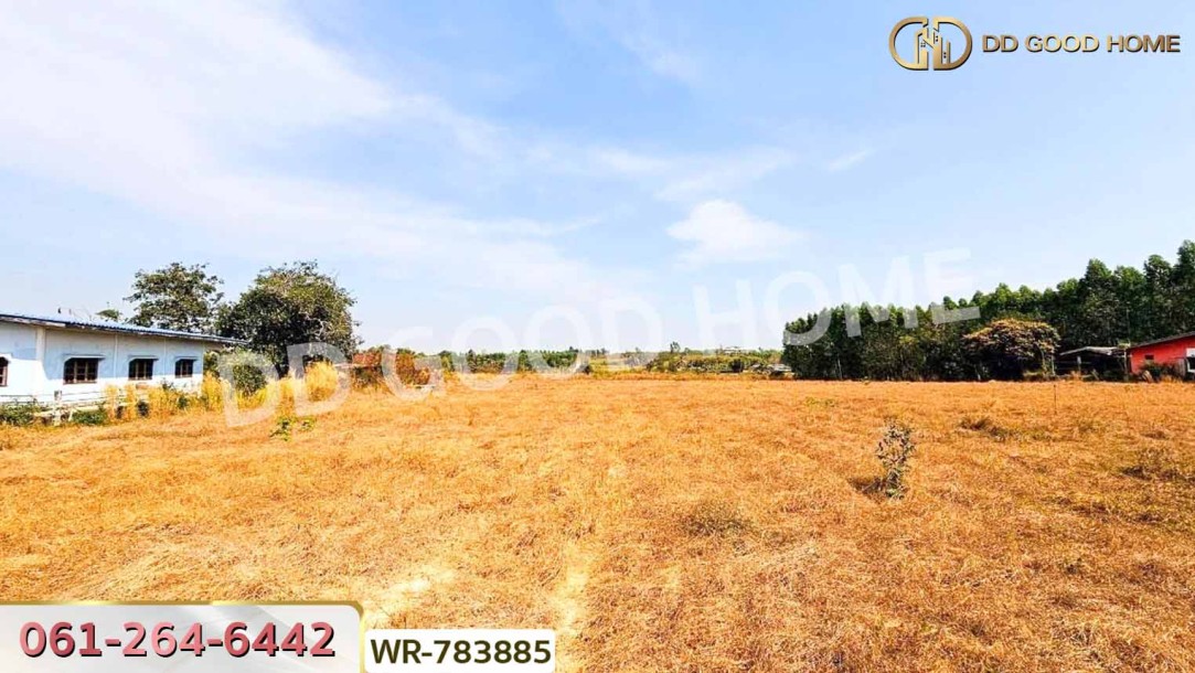 ที่ดินพนัสนิคม 6 ไร่ 209.6 ตร.ว. ชลบุรี ใกล้ อบต.นาวังหิน-6