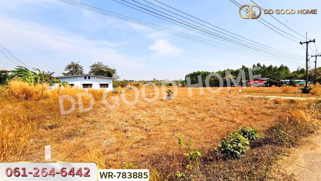 ที่ดินพนัสนิคม 6 ไร่ 209.6 ตร.ว. ชลบุรี ใกล้ อบต.นาวังหิน-5