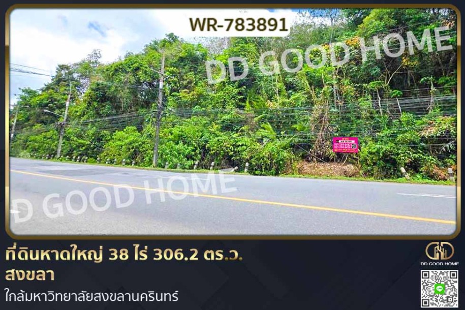ที่ดินหาดใหญ่ 38 ไร่ 306.2 ตร.ว. สงขลา ใกล้มหาวิทยาลัยสงขลานครินทร์-1