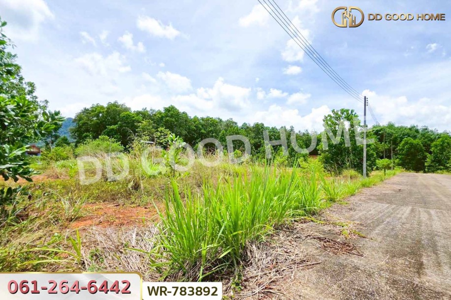 ที่ดินพะโต๊ะ 90 ตร.ว. ชุมพร ใกล้โรงพยาบาลพะโต๊ะ.-7