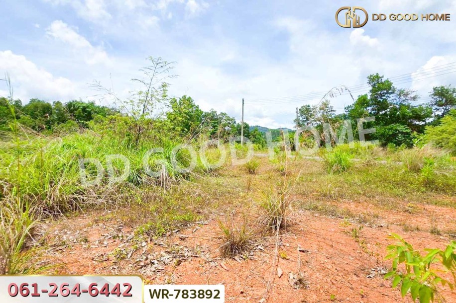ที่ดินพะโต๊ะ 90 ตร.ว. ชุมพร ใกล้โรงพยาบาลพะโต๊ะ.-6