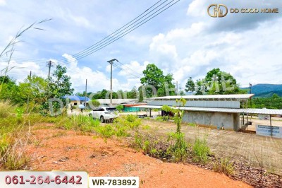 ที่ดินพะโต๊ะ 90 ตร.ว. ชุมพร ใกล้โรงพยาบาลพะโต๊ะ.-5