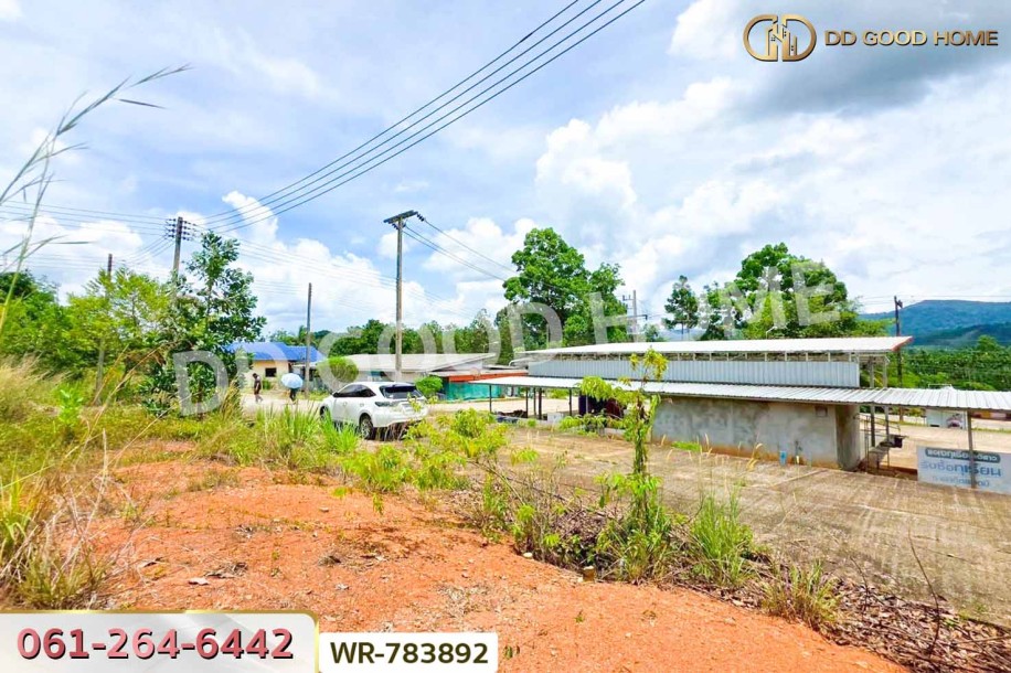 ที่ดินพะโต๊ะ 90 ตร.ว. ชุมพร ใกล้โรงพยาบาลพะโต๊ะ.-5