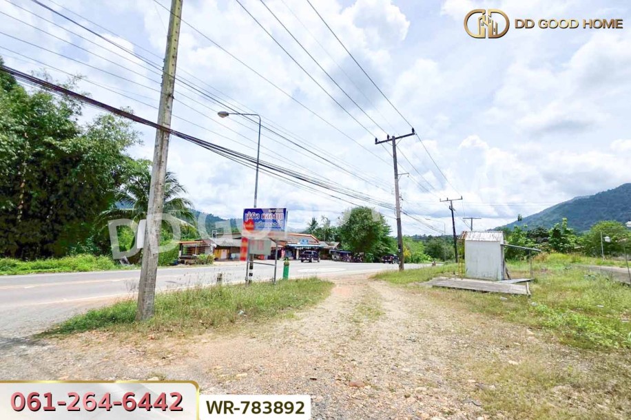 ที่ดินพะโต๊ะ 90 ตร.ว. ชุมพร ใกล้โรงพยาบาลพะโต๊ะ.-3