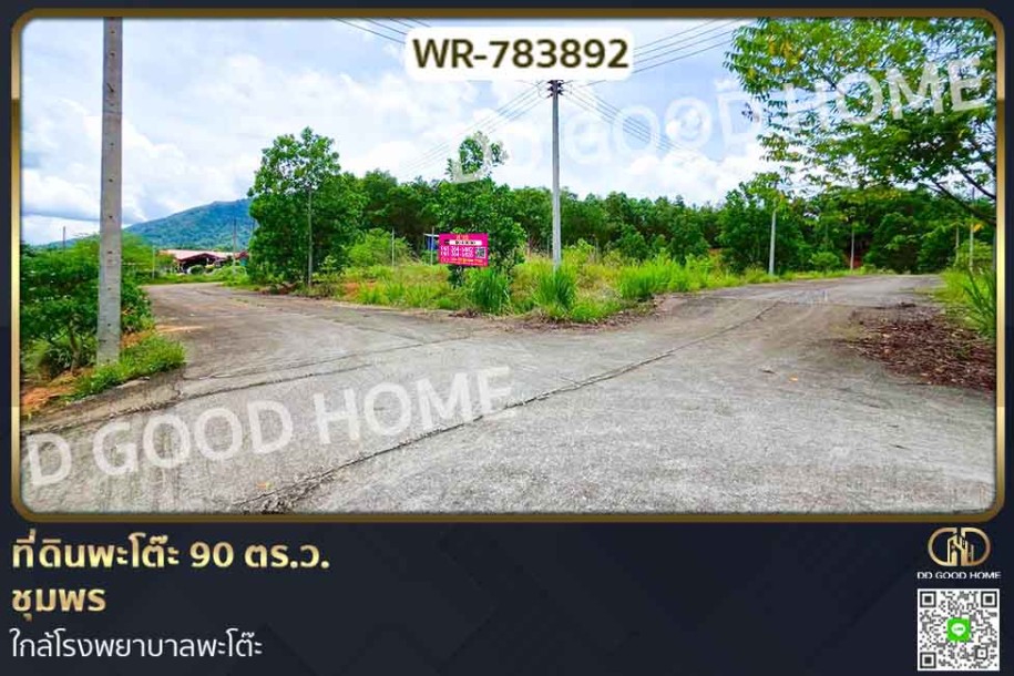 ที่ดินพะโต๊ะ 90 ตร.ว. ชุมพร ใกล้โรงพยาบาลพะโต๊ะ.-1