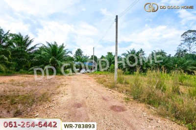 ที่ดิน 12 ไร่ 43.70 ตร.ว. หลังสวน ชุมพร ใกล้ โลตัสหลังสวน-7