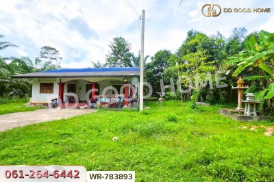 ที่ดิน 12 ไร่ 43.70 ตร.ว. หลังสวน ชุมพร ใกล้ โลตัสหลังสวน-6