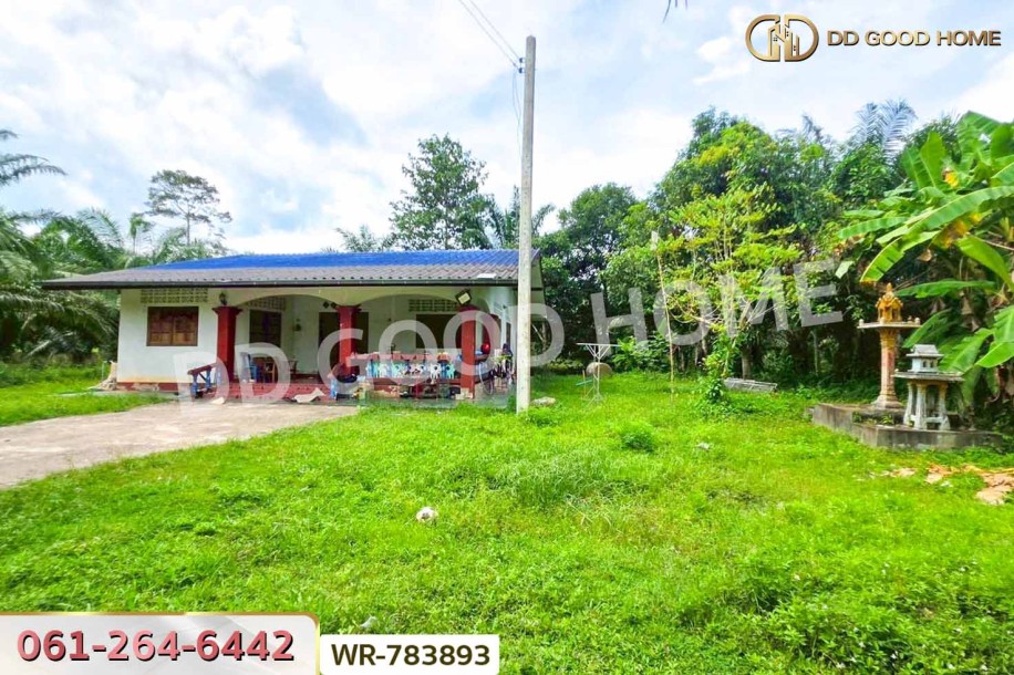 ที่ดิน 12 ไร่ 43.70 ตร.ว. หลังสวน ชุมพร ใกล้ โลตัสหลังสวน-6