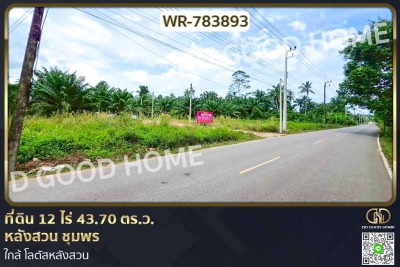 ที่ดิน 12 ไร่ 43.70 ตร.ว. หลังสวน ชุมพร ใกล้ โลตัสหลังสวน-1