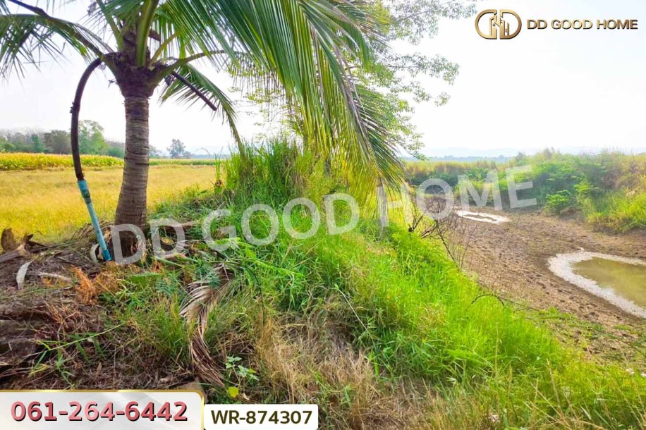 ที่ดินเมืองเพชรบูรณ์ 7 ไร่ 208.2 ตร.ว. ใกล้องค์การบริหารส่วนตำบลน้ำร้อน.-5