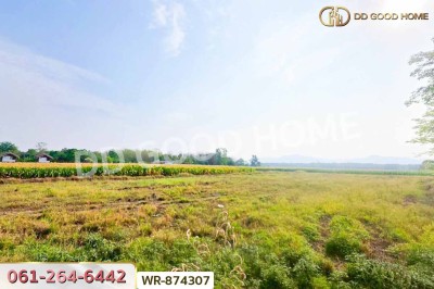 ที่ดินเมืองเพชรบูรณ์ 7 ไร่ 208.2 ตร.ว. ใกล้องค์การบริหารส่วนตำบลน้ำร้อน.-3