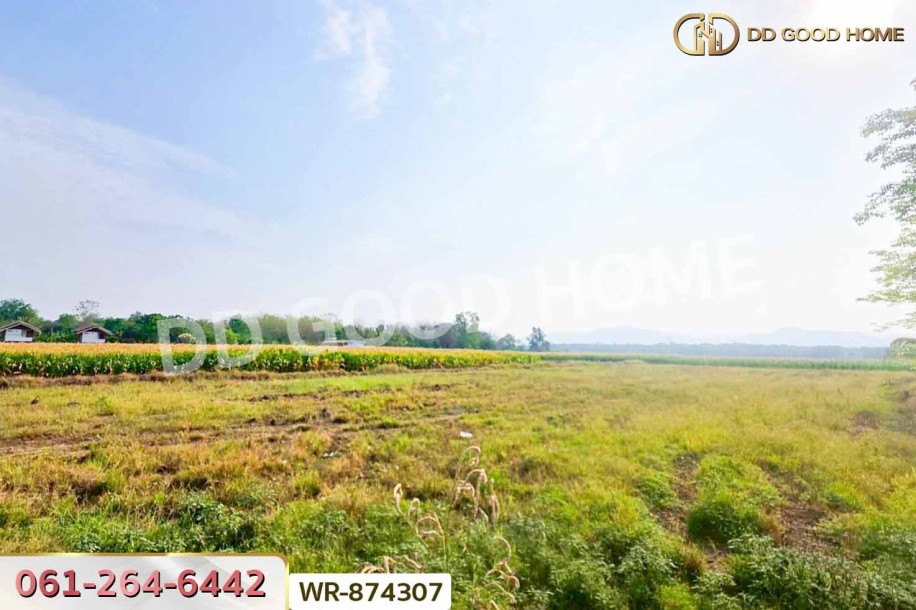 ที่ดินเมืองเพชรบูรณ์ 7 ไร่ 208.2 ตร.ว. ใกล้องค์การบริหารส่วนตำบลน้ำร้อน.-3