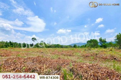 ที่ดินนาดี 27 ไร่ 389 ตร.ว. ปราจีนบุรี ใกล้อุทยานแห่งชาติทับลาน.