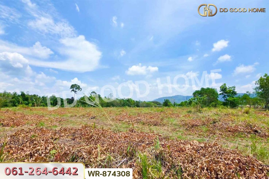 ที่ดินนาดี 27 ไร่ 389 ตร.ว. ปราจีนบุรี ใกล้อุทยานแห่งชาติทับลาน.-2