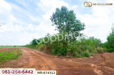 ที่ดินกบินทร์บุรี 17 ไร่ 74 ตร.ว. ปราจีนบุรี ใกล้สำนักงานเทศบาลตำบลเมืองเก่า.