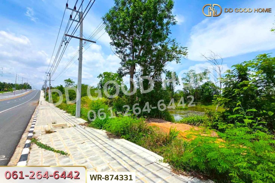 ที่ดิน 76 ไร่ 174 ตร.ว. เมืองหนองบัวลำภู ใกล้สำนักงานเทศบาลเมืองหนองบัวลำภู-10