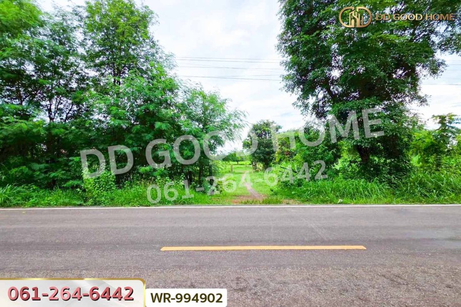 ที่ดินพระธาตุบังพวน 24 ไร่ 321 ตร.ว. หนองคาย ใกล้พระธาตุบังพวน-2