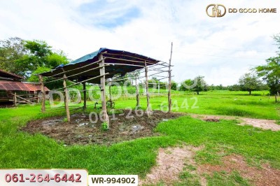 ที่ดินพระธาตุบังพวน 24 ไร่ 321 ตร.ว. หนองคาย ใกล้พระธาตุบังพวน-6