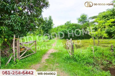 ที่ดินพระธาตุบังพวน 24 ไร่ 321 ตร.ว. หนองคาย ใกล้พระธาตุบังพวน-5